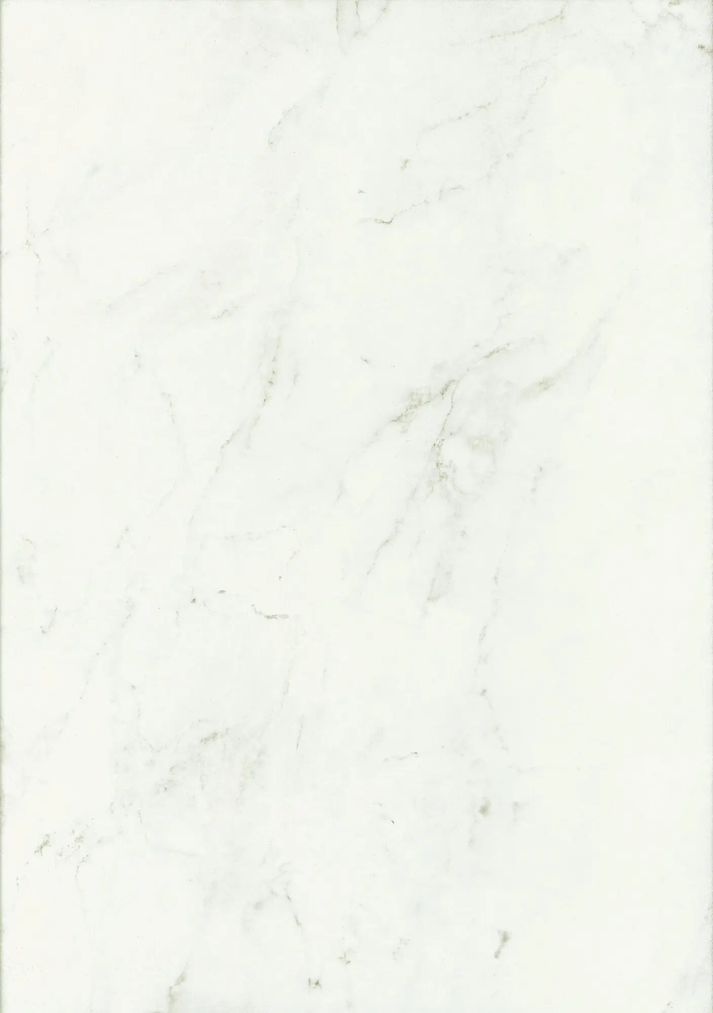 4448 - Marmo Romeo White